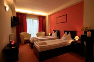 Отель Hotel Art Montana Предял Двухместный номер с 1 кроватью или 2 отдельными кроватями-6
